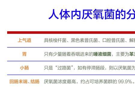 有氧菌和厌氧菌都存在什么地方