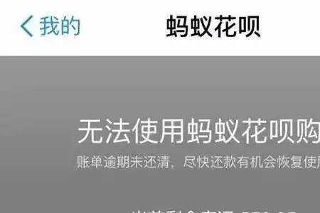 暂不支持更新实时欠款什么意思