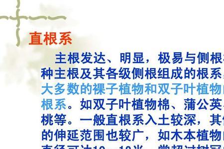 植物的根茎叶分别有什么特点