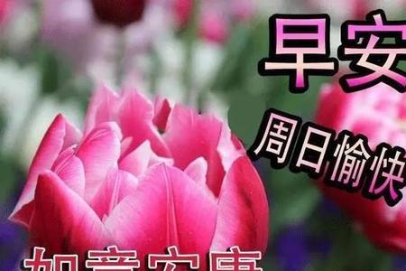 铃铛周末愉快祝福语