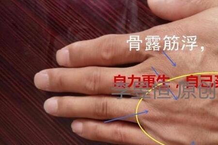 六亲无靠离祖成家是神马意思