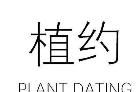 dating的汉语意思