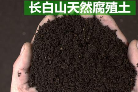 颗粒土和营养土一块用可以吗