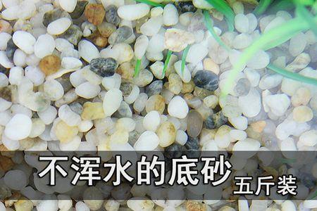 龙鱼缸可以放石子吗