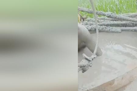 水泥有陈伏期吗