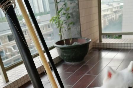 七弦叹是什么意思