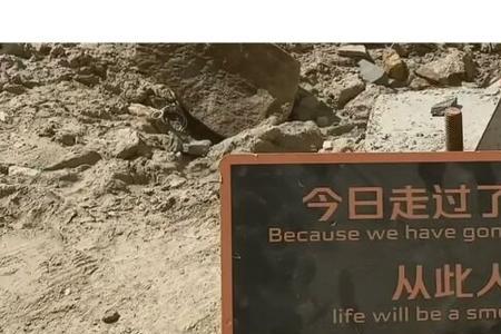 何为人生坦途
