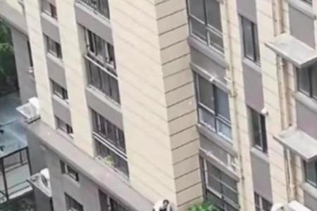 小孩在小区跳楼，物业有责任吗