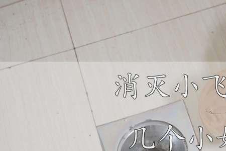 下水道小飞虫能从水里钻出来吗