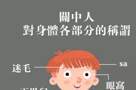 毛什么意思啊陕西话