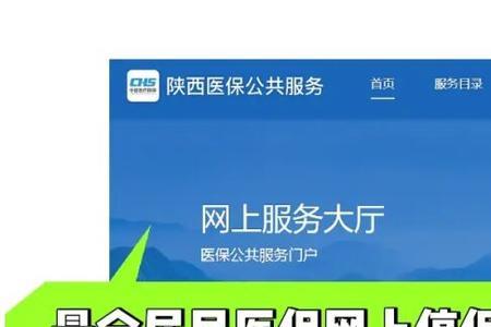医保可以网上停吗