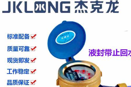 水表ws100代表什么