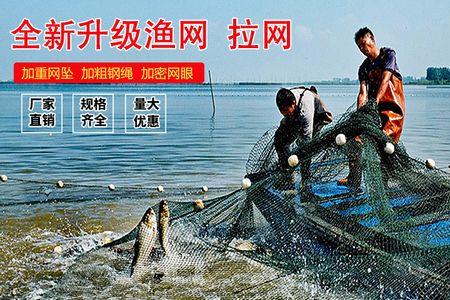 拦渔网附近聚鱼吗