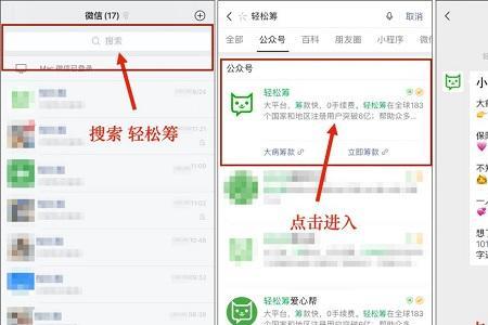 办轻松筹的详细内容