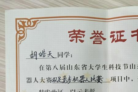 我的获奖记录怎么写