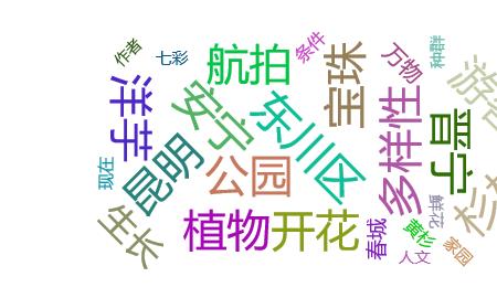多样性的修饰词