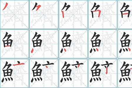 鱼，字是什么偏旁