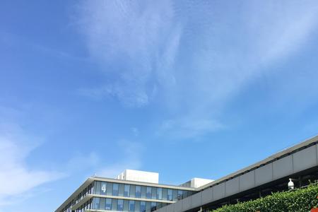 阿里巴巴支持pi支付吗