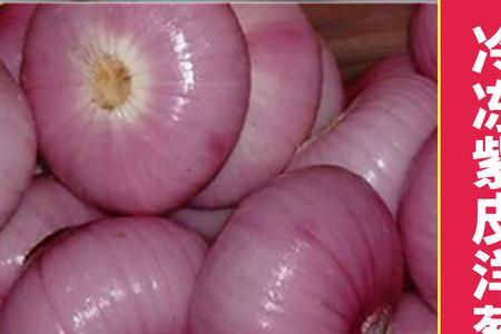 皮牙子可以冷冻吗