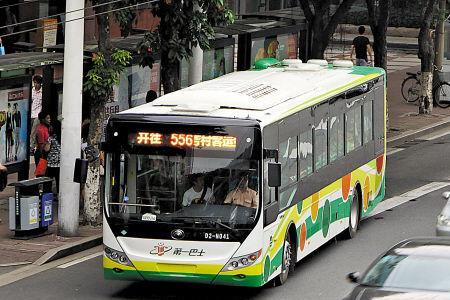 广州82路公交车开始运营了吗
