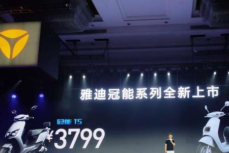 雅迪冠能dm6石墨烯铅酸电池