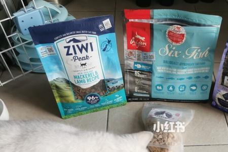 猫粮混合吃可以吗