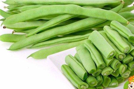 冬至后可以种四季豆吗