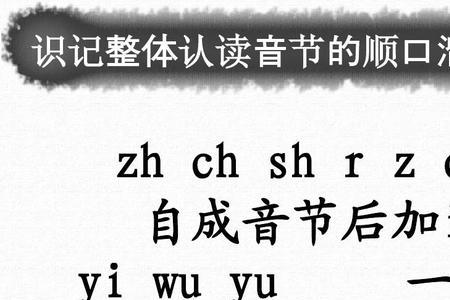 入是整体认读音节吗