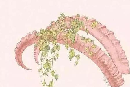 临终前最想对自己说的一句话
