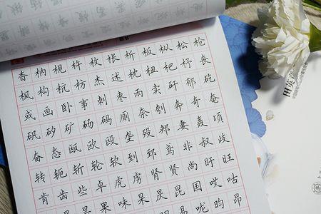 字帖硬笔楷书成人用哪个好