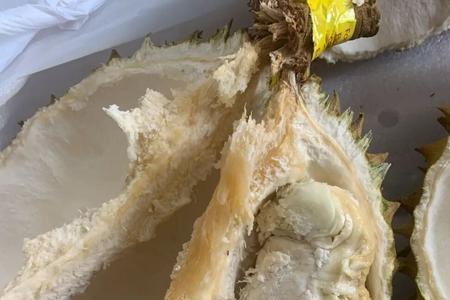 榴莲发快递3天左右能不能坏掉