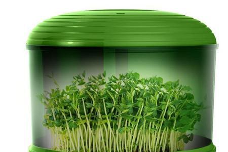 紫砂豆芽机和塑料豆芽机哪个好