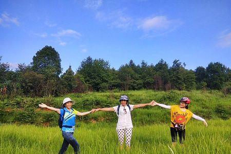 田野不辟的不辟是什么意思