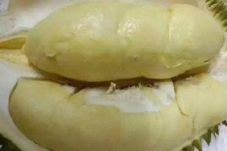 榴莲存放到恒温三天不会坏吧