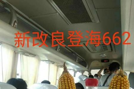 登海道吉155玉米种审定公告