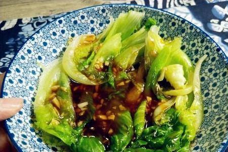 正宗蚝油圆生菜