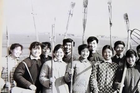 上海人为什么选择去云南当知青
