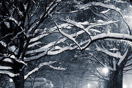 雪飘落在地上改写拟人句子