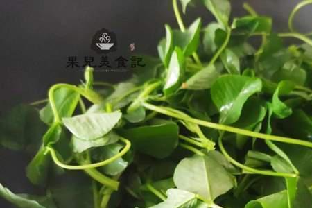 金花菜含钙量