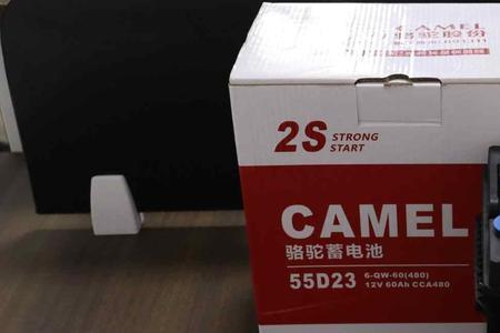 骆驼蓄电池1010什么意思
