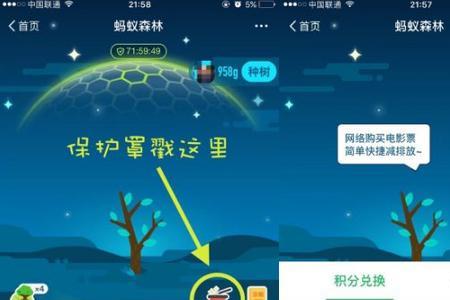 蚂蚁森林狐狐保护罩是什么