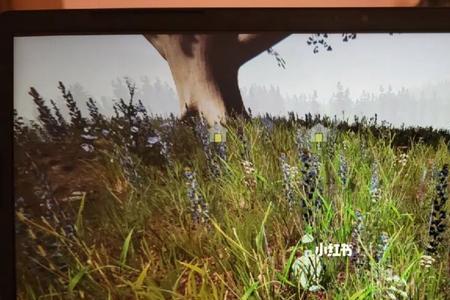 steam森林背包怎么丢东西