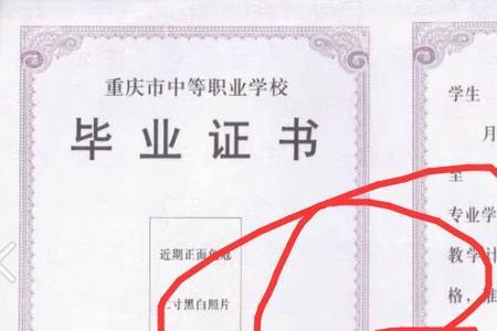 中专没有编号怎么查学历