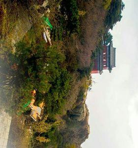 东风乍染芳野解释