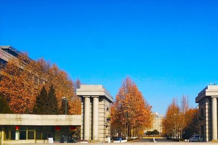 清华大学有几个校区
