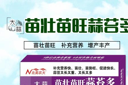 大蒜苗为什么是紫色的