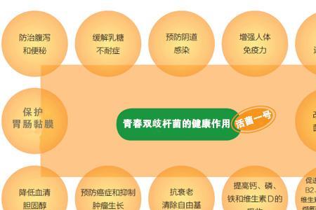 益生菌与双歧杆菌的区别