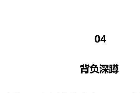 犯占的意思