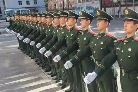 有两排队伍在楼下像什么
