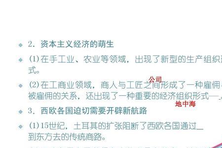 资本主义商业的模式